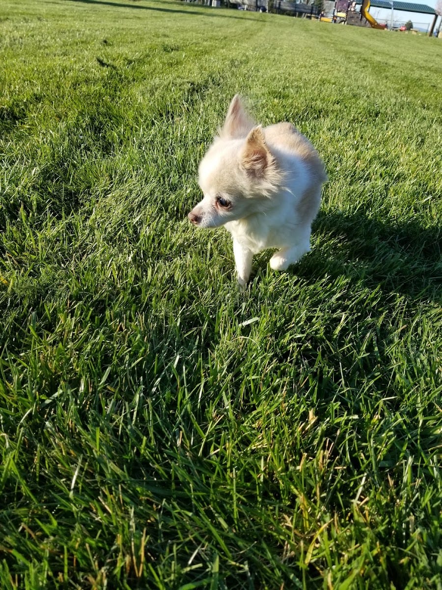 Park, photo 2
