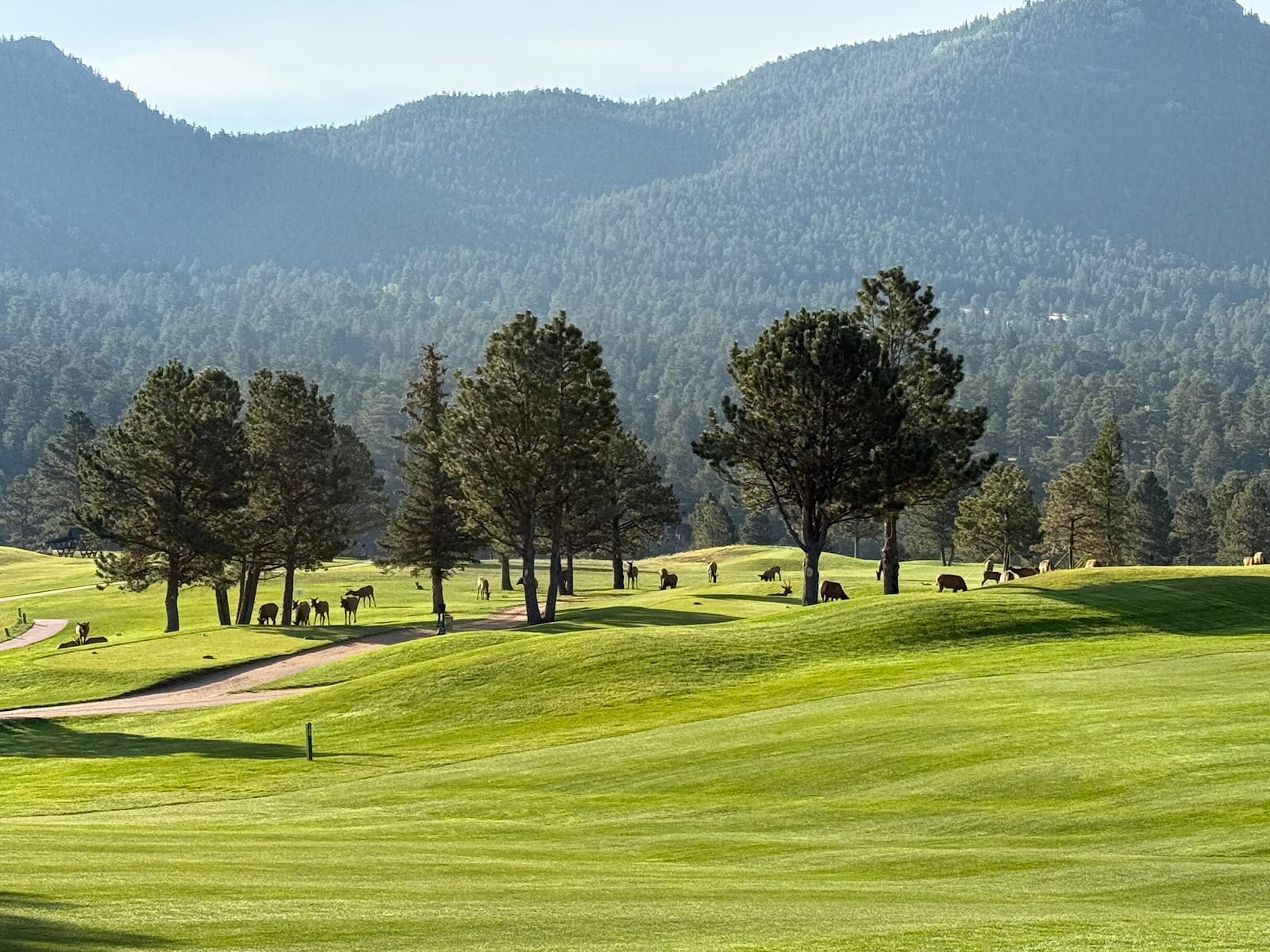 Estes Park 18-Hole Golf Course, photo 3