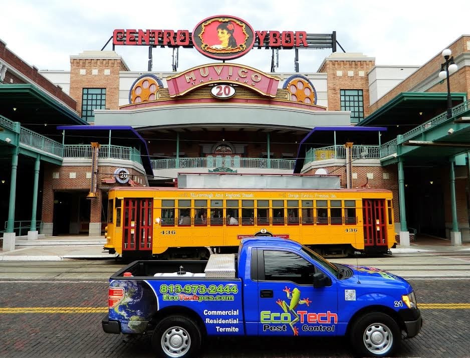 EcoTech Pest Control Services, photo 4