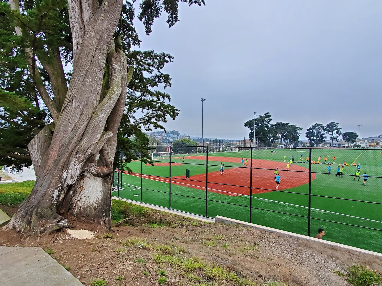 Minnie & Lovie Ward Recreational Center, photo 3