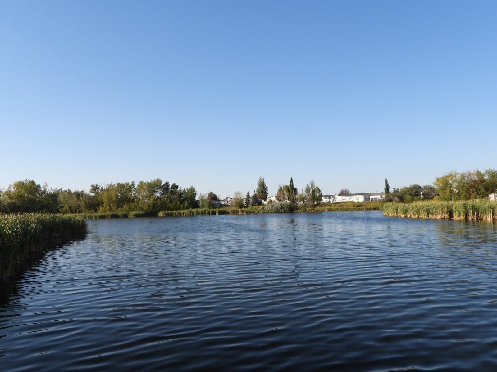 Summerwood Park, photo 3