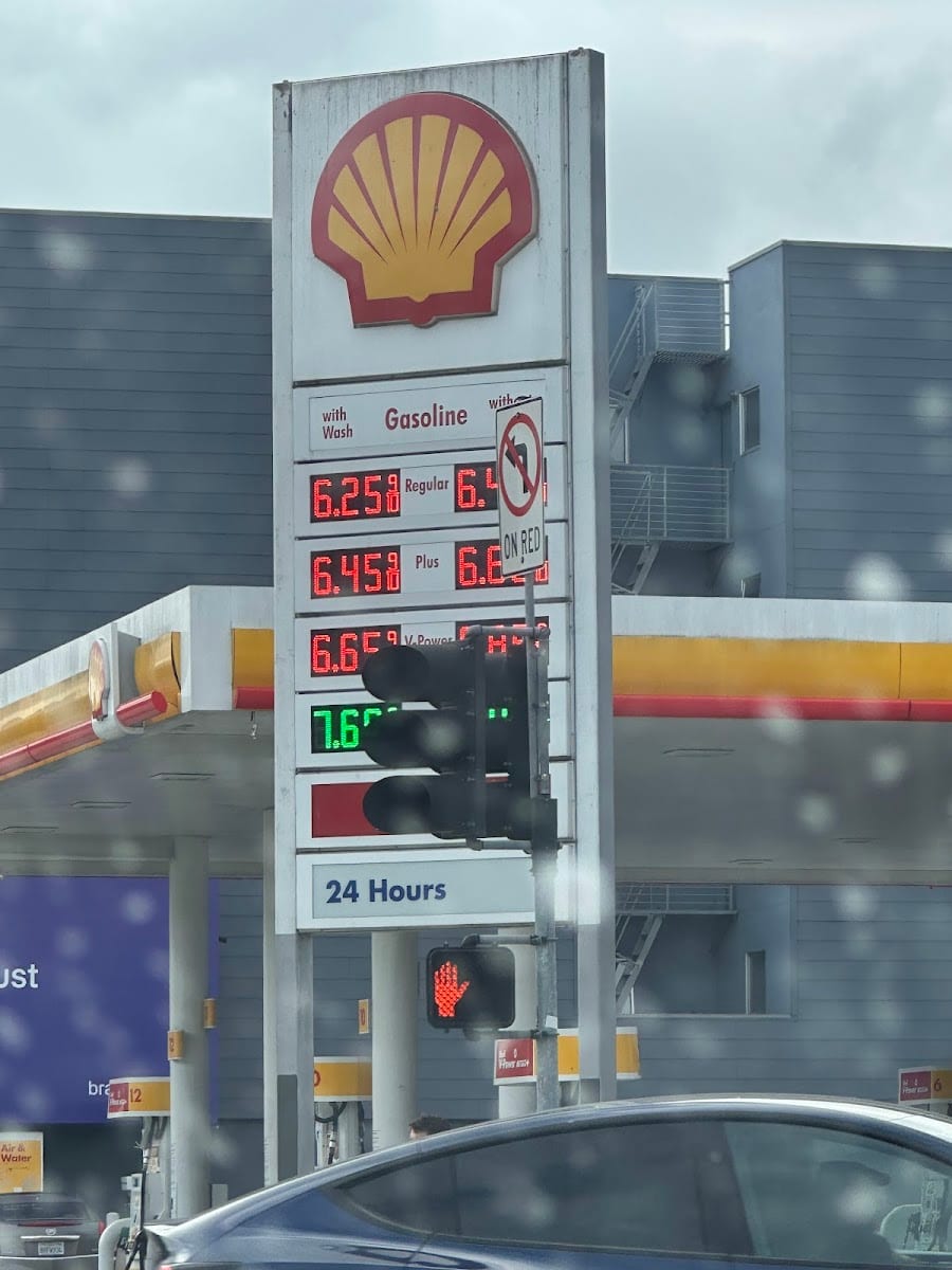 Shell, photo 3
