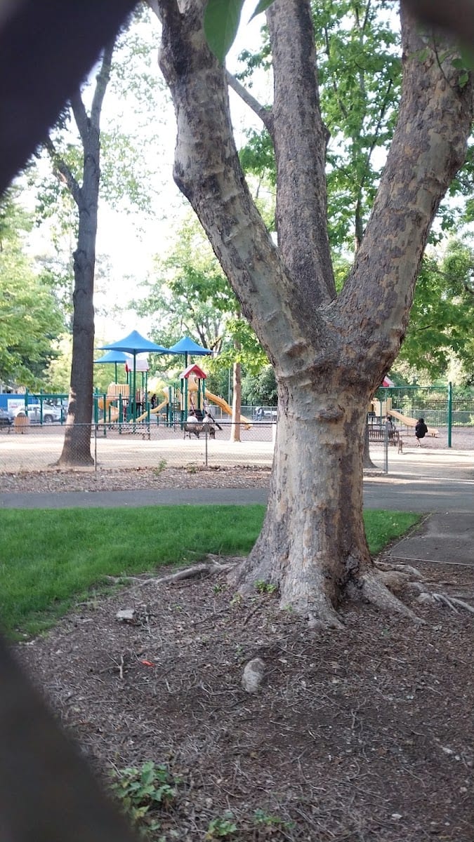 Pioneer Park, photo 3