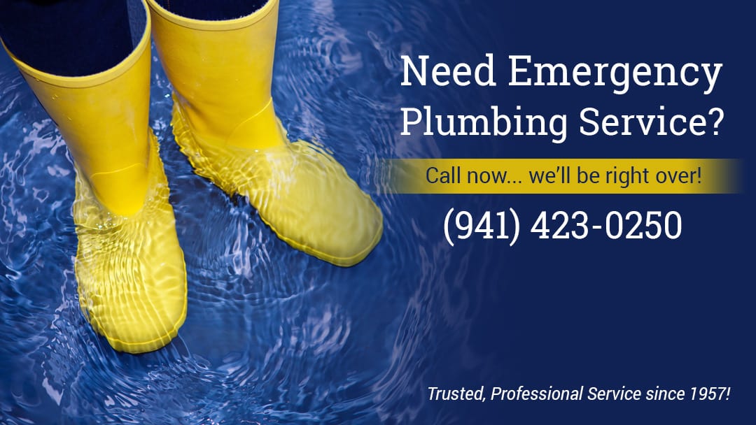 Ray's Complete Plumbing, photo 2
