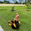 HANSEN LAWN AND LANDSCAPE LLC