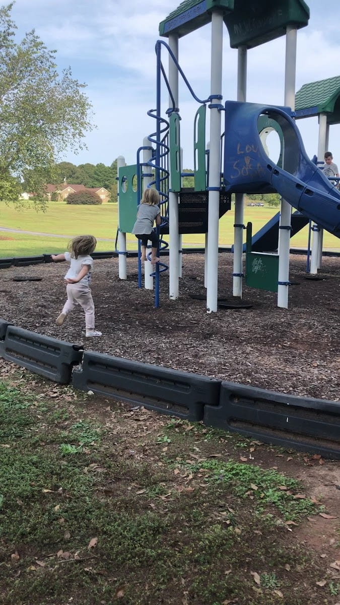 Sandy Springs Community Park, photo 2
