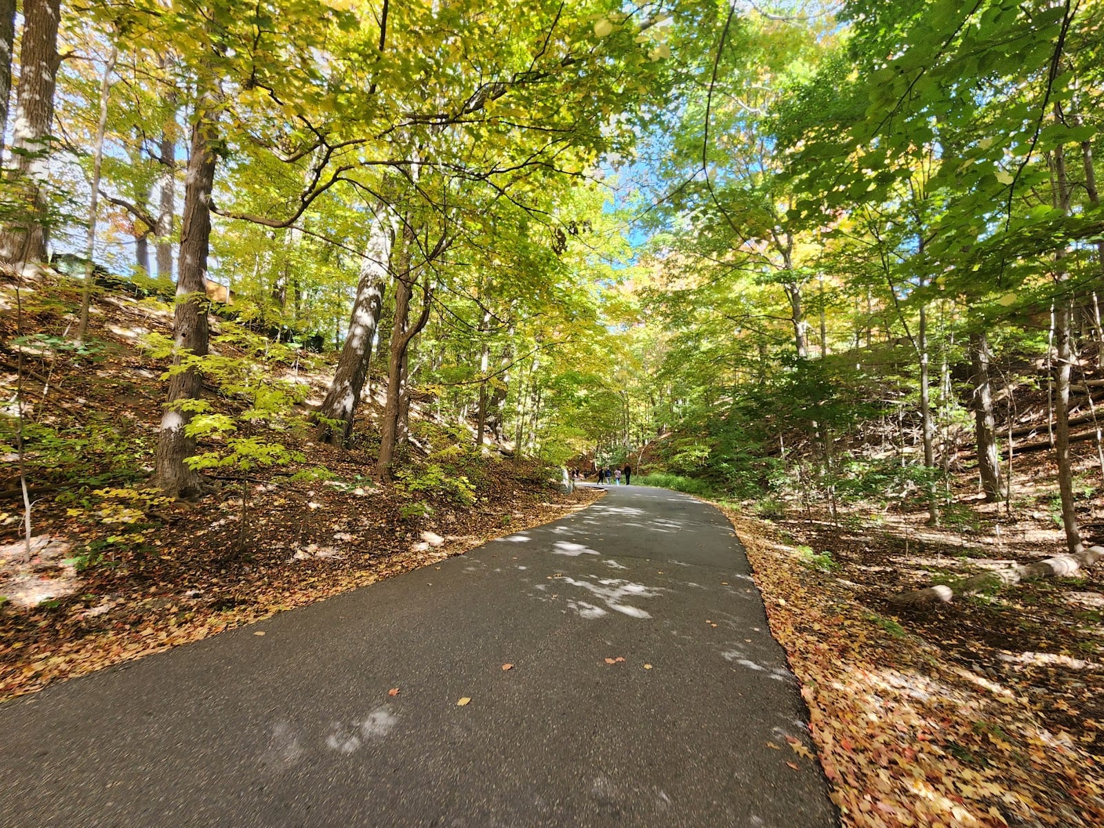 Moccasin Trail Park, photo 3
