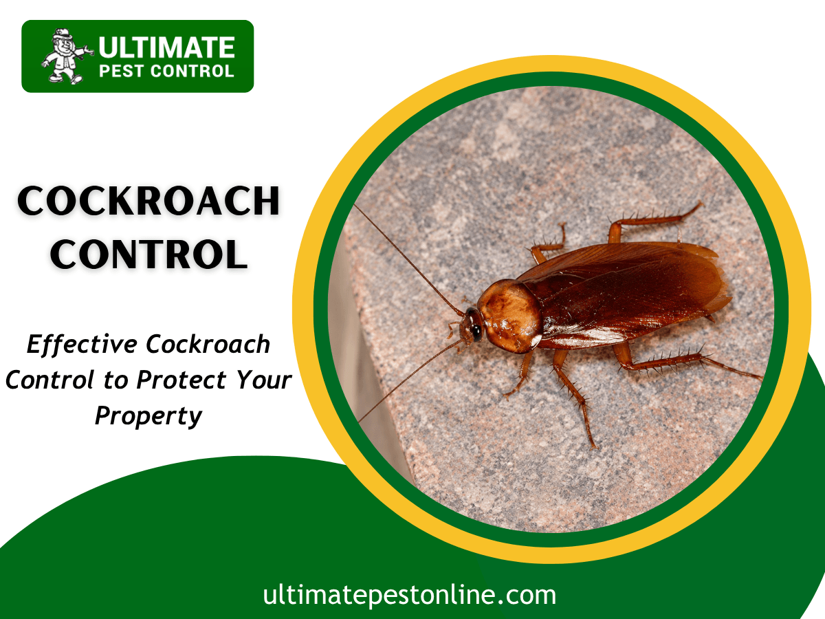 Ultimate Pest Control, photo 2