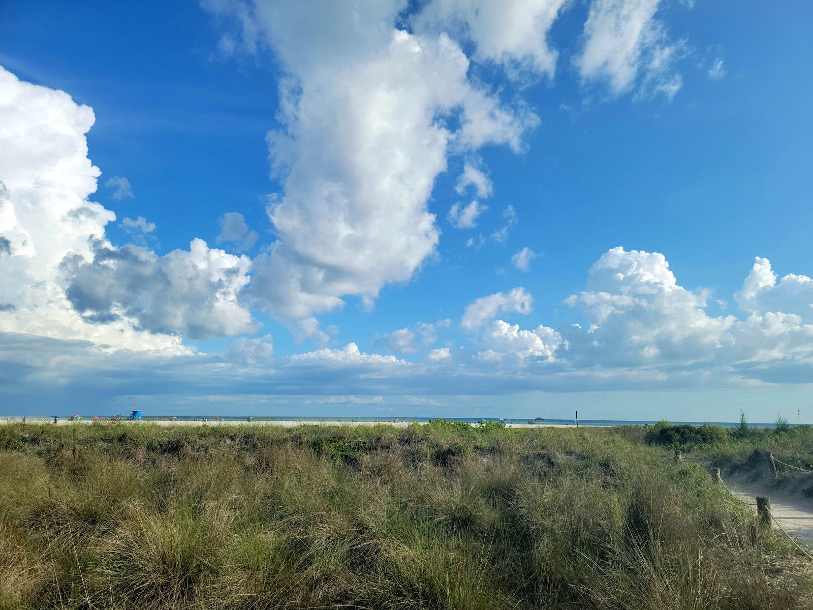 Gumbo Limbo Vacation Rentals, photo 2