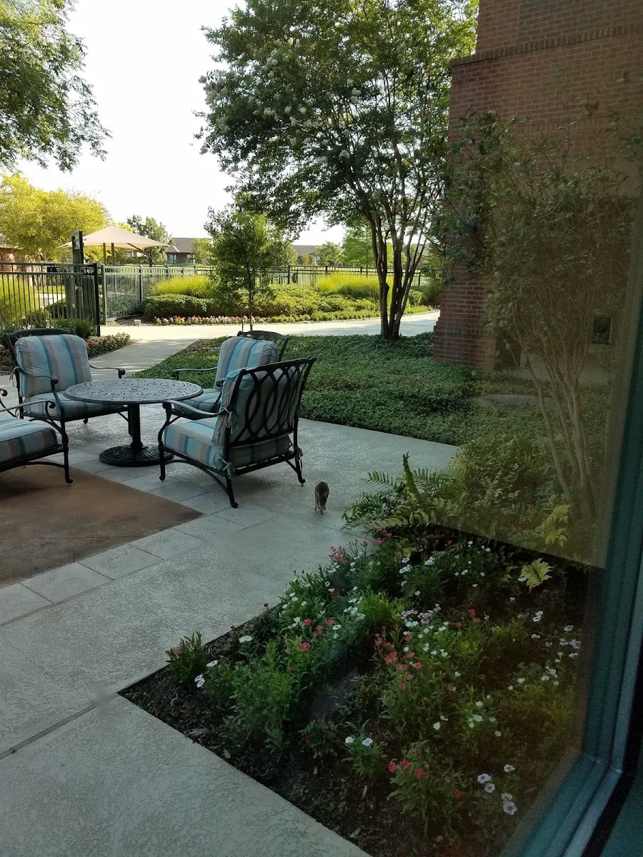 Village Center At Frisco Lakes, photo 3