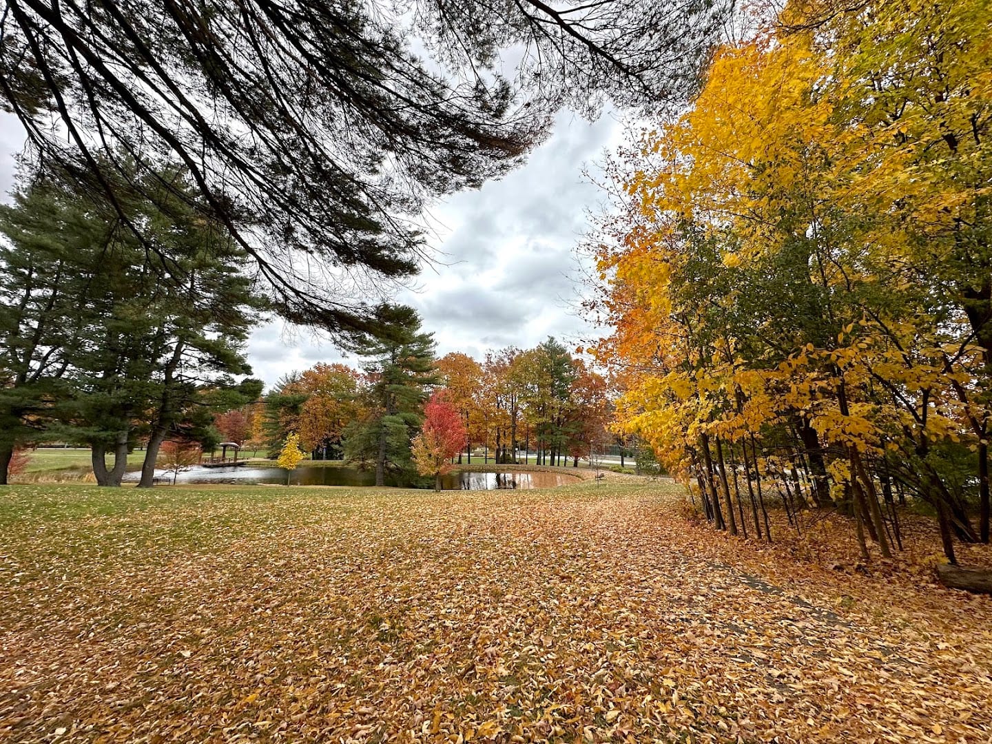 Skidmore North Woods, photo 3