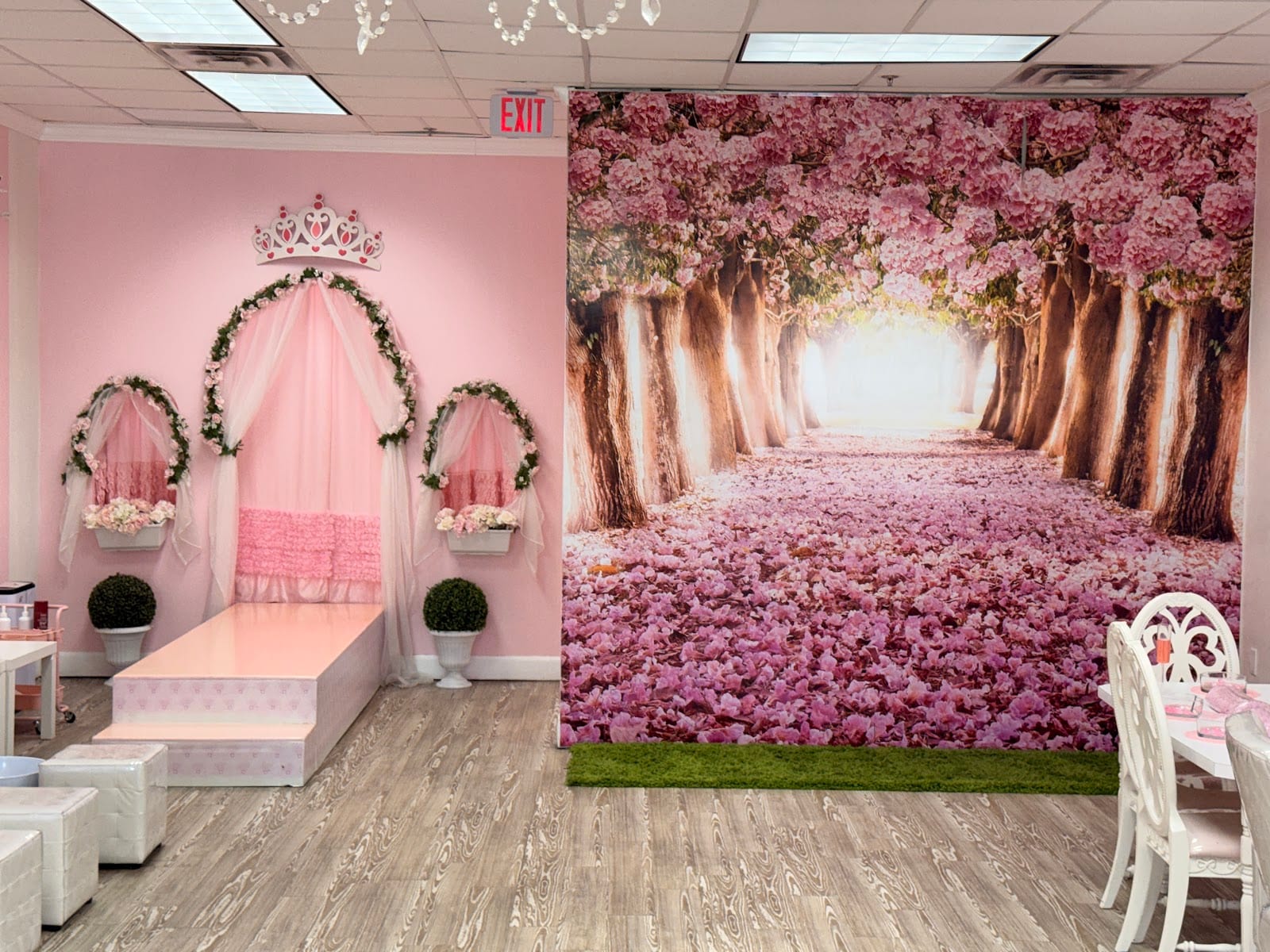 Little Princess Spa® Round Rock - Birthday Party Place & Spa for Kids