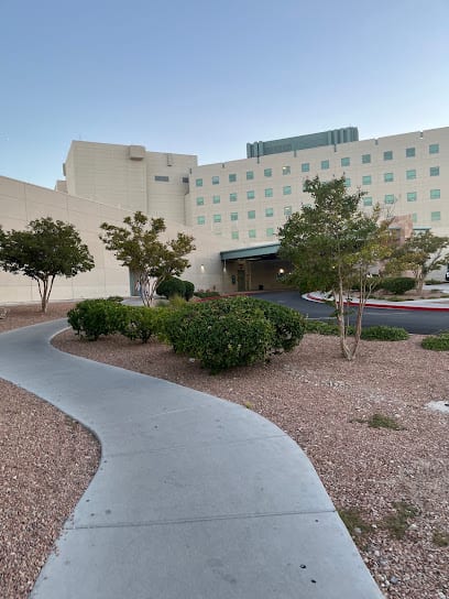 Summerlin Hospital Medical Center Emergency Room