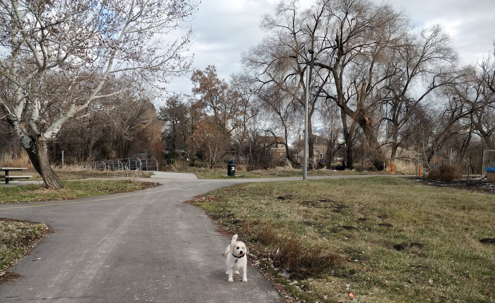 Modesto Park