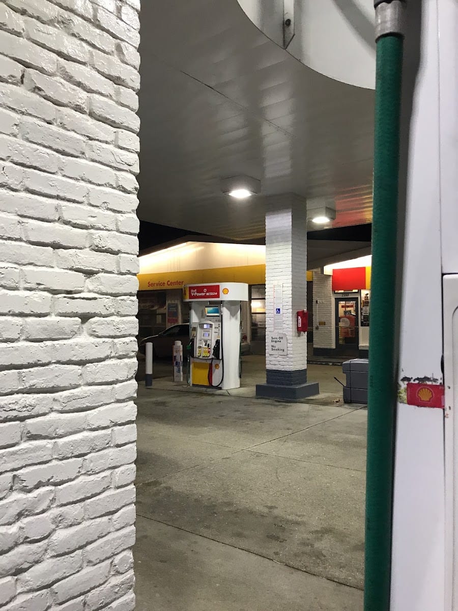 Shell, photo 4