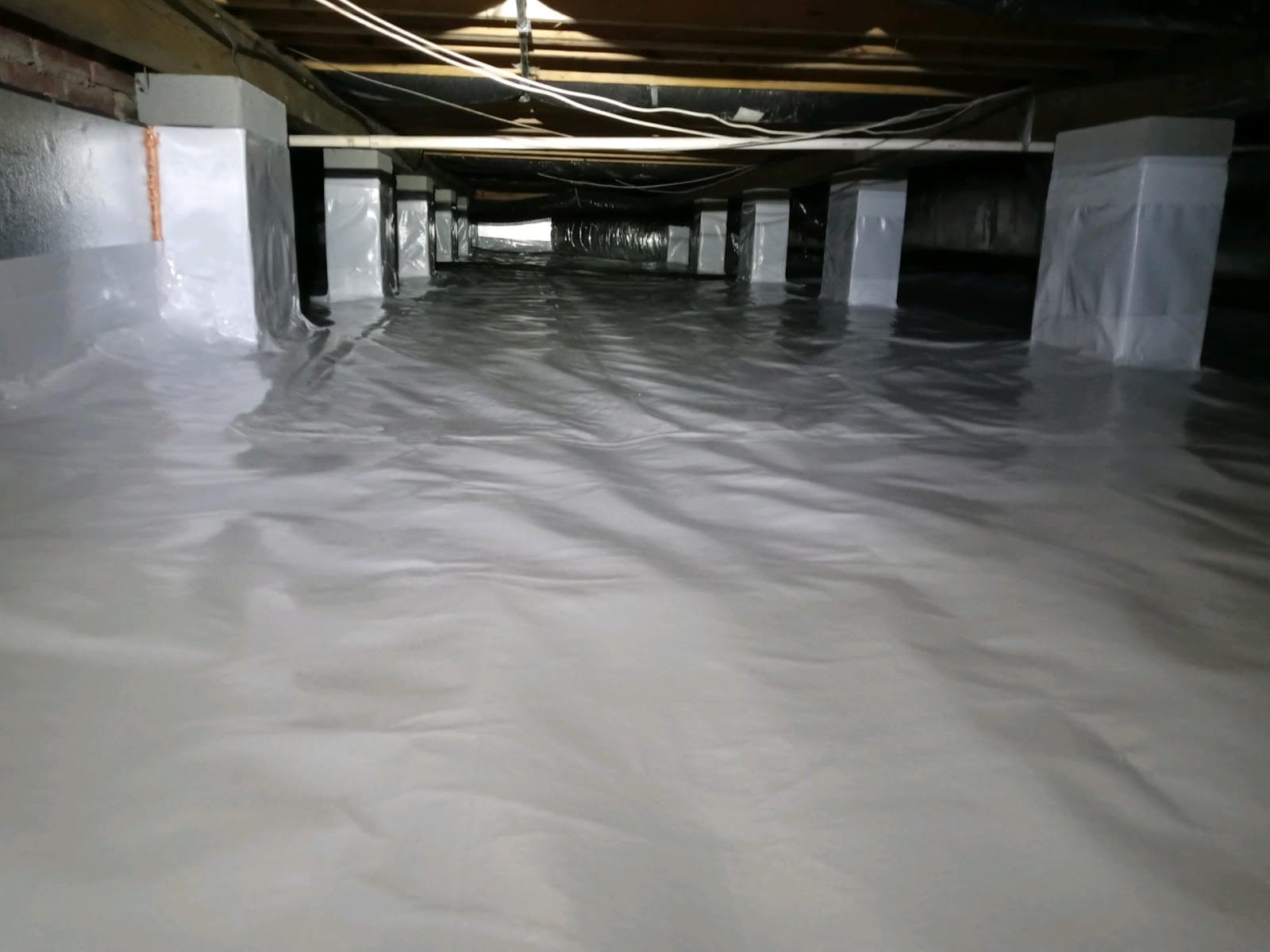 GLOBAL GREEN TERMITE & PEST CONTROL , LLC, photo 2