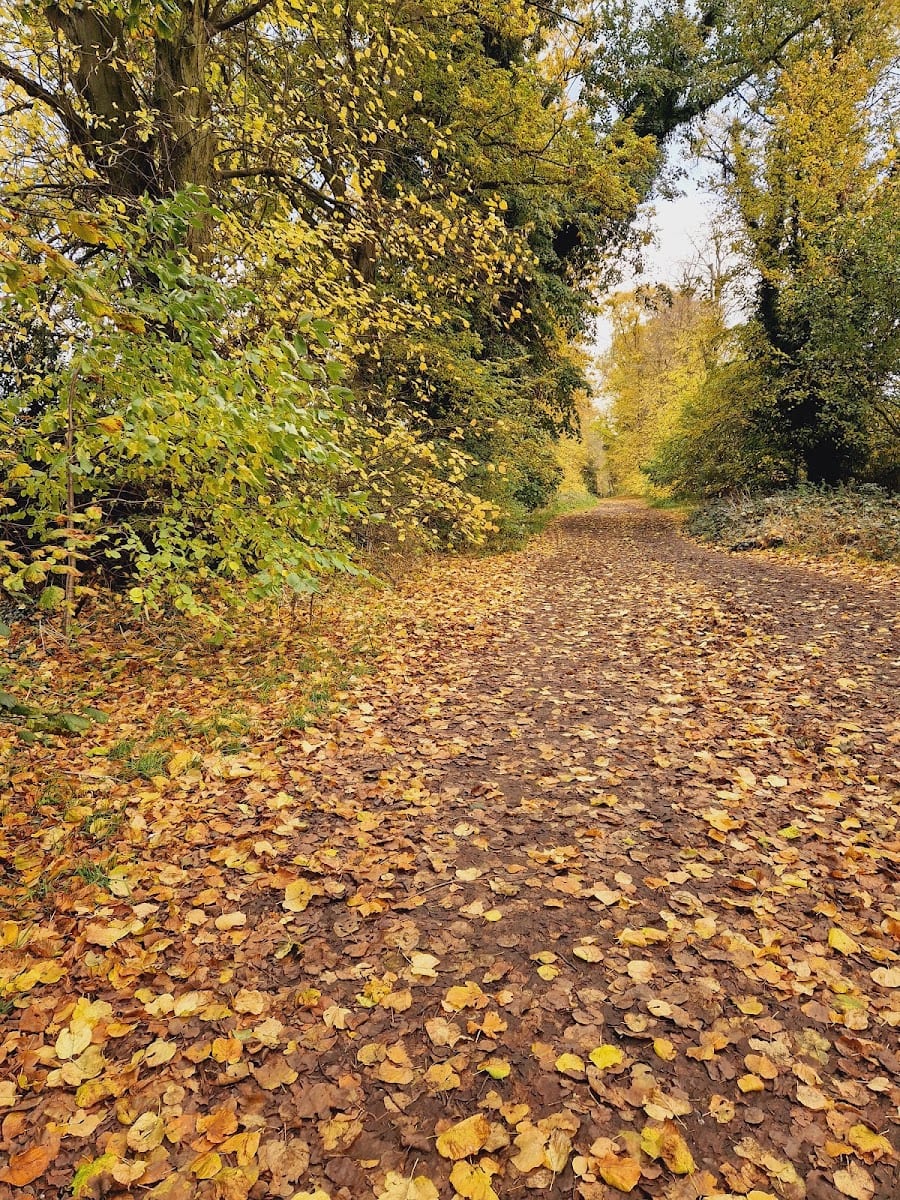 Rothamsted Park