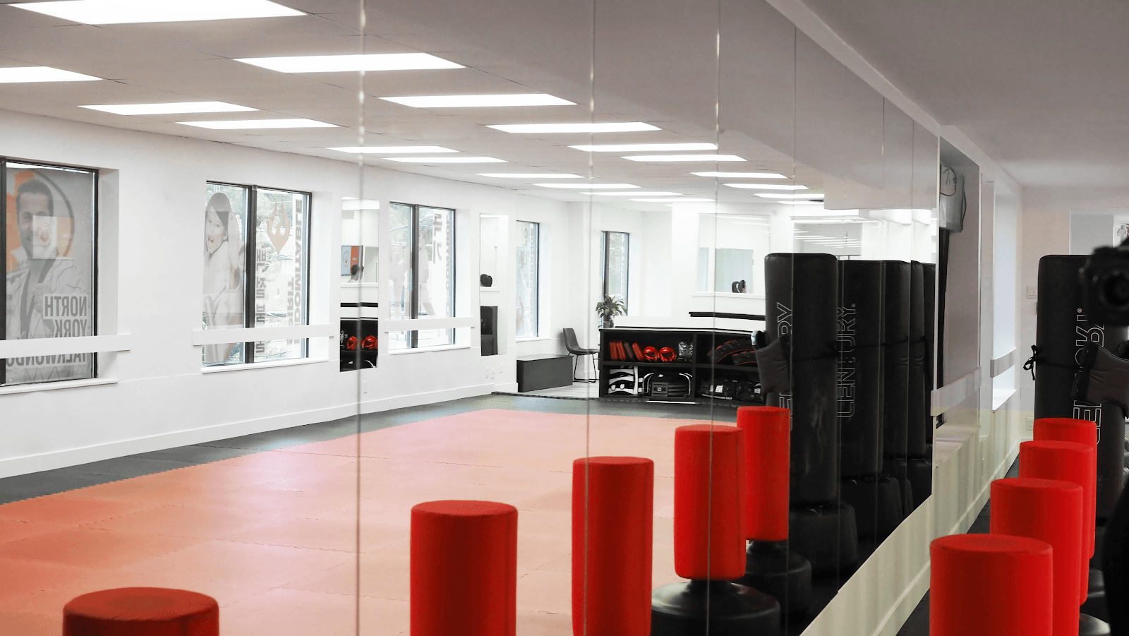North York Taekwondo