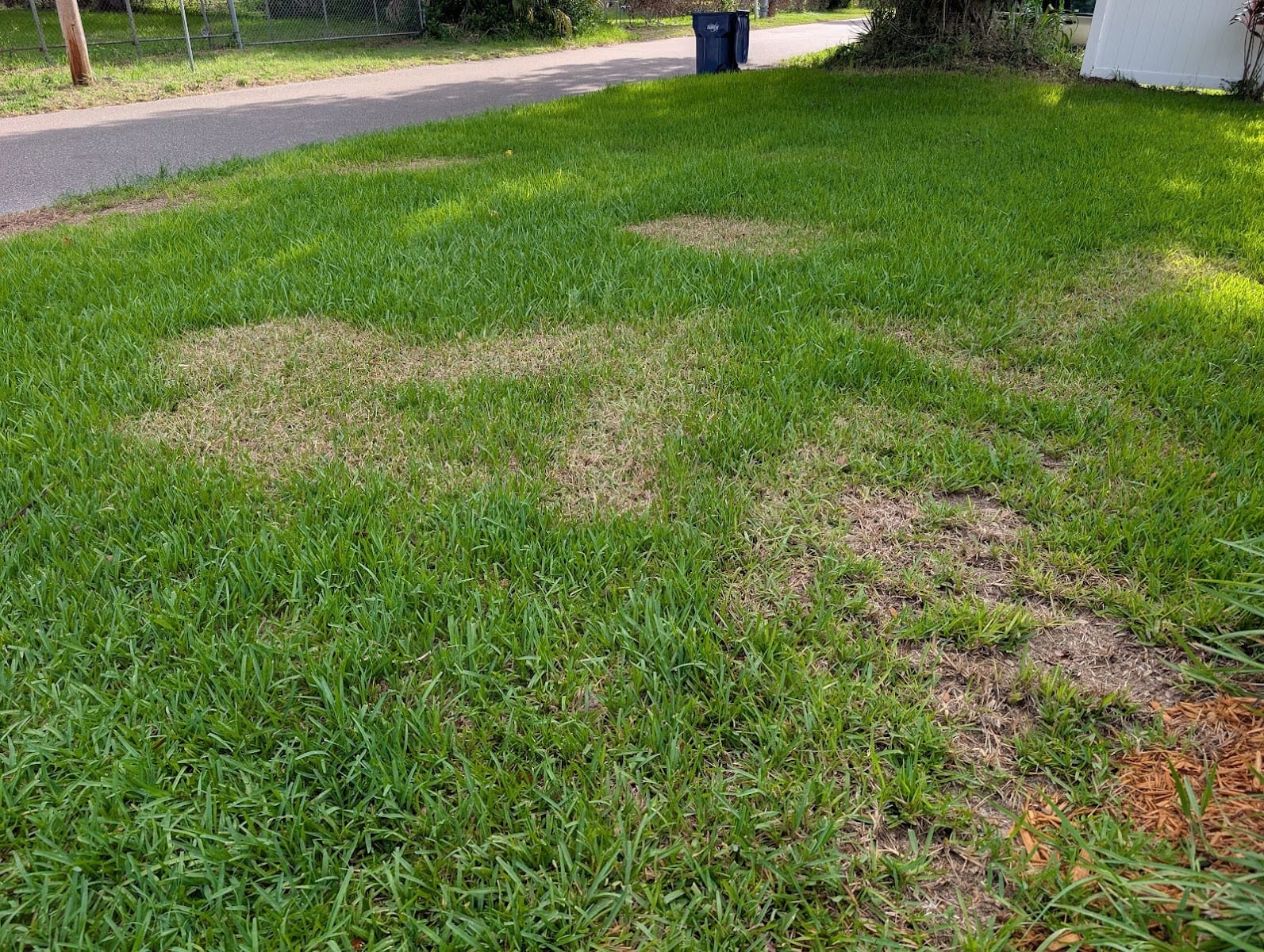 Rocket Pest Control, photo 3