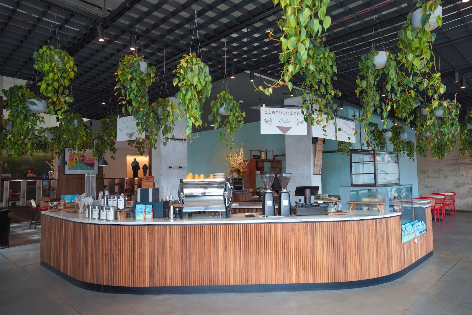 Café Quiquiriqui, photo 4