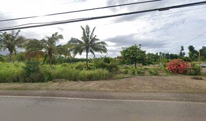 Jar'd Hawaii