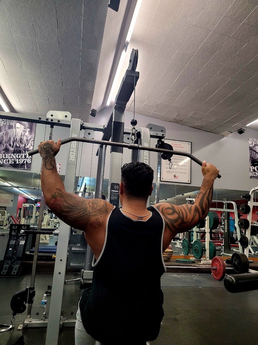 World Gym, photo 3