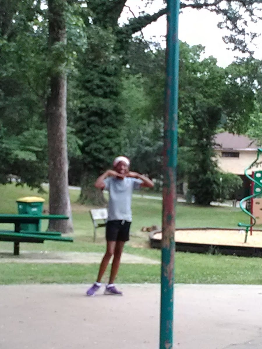 Oak Forest Park, photo 2