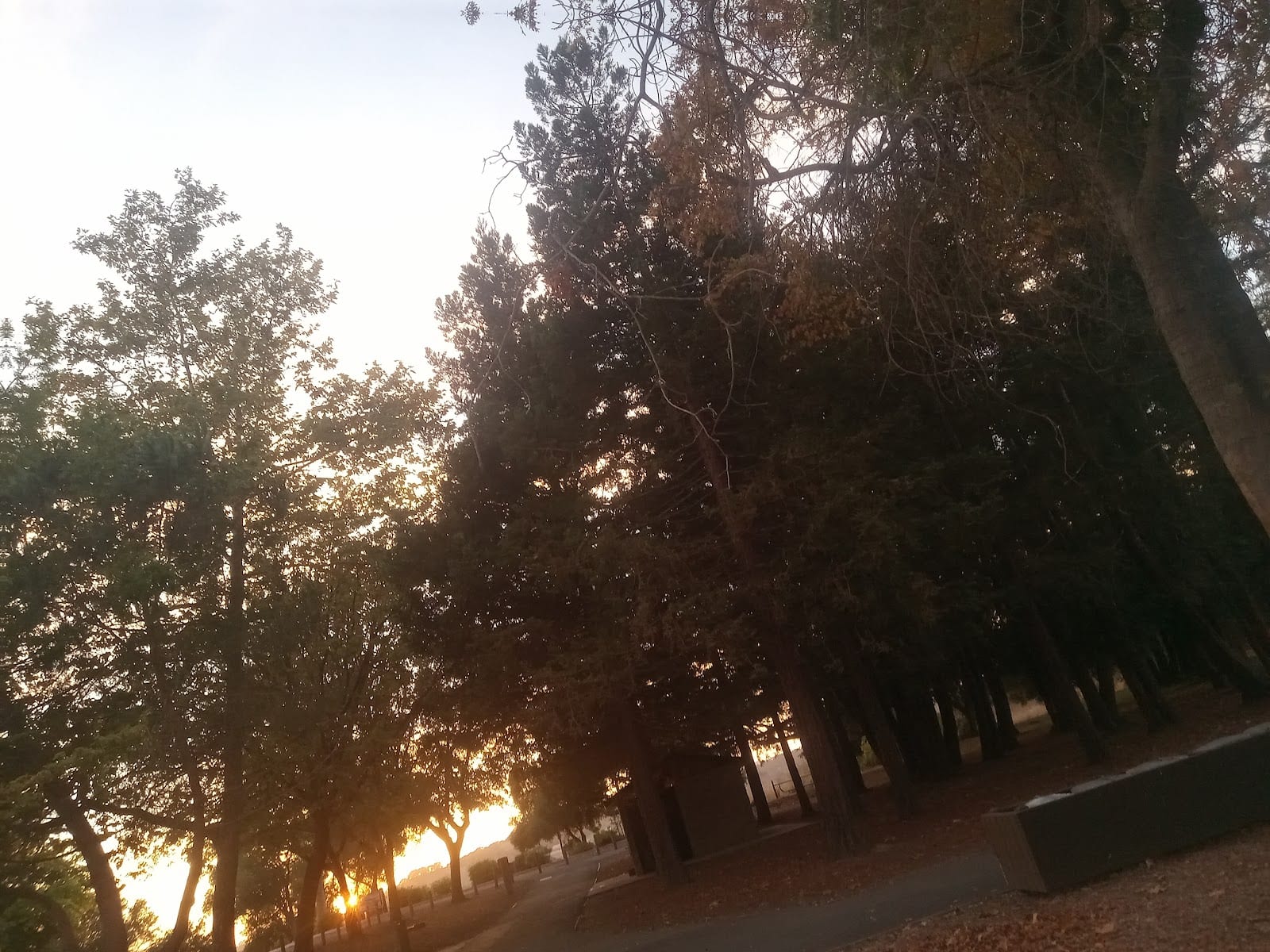 Napa Parks and Recreation, photo 3