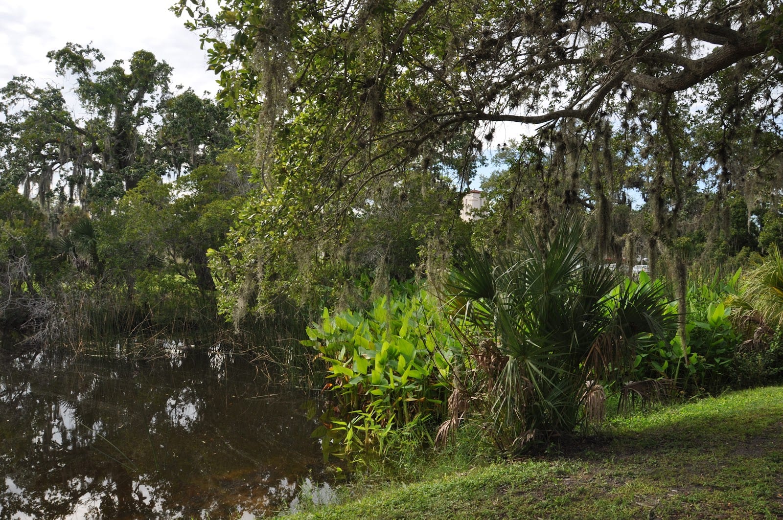 A.B. Smith Park, photo 2