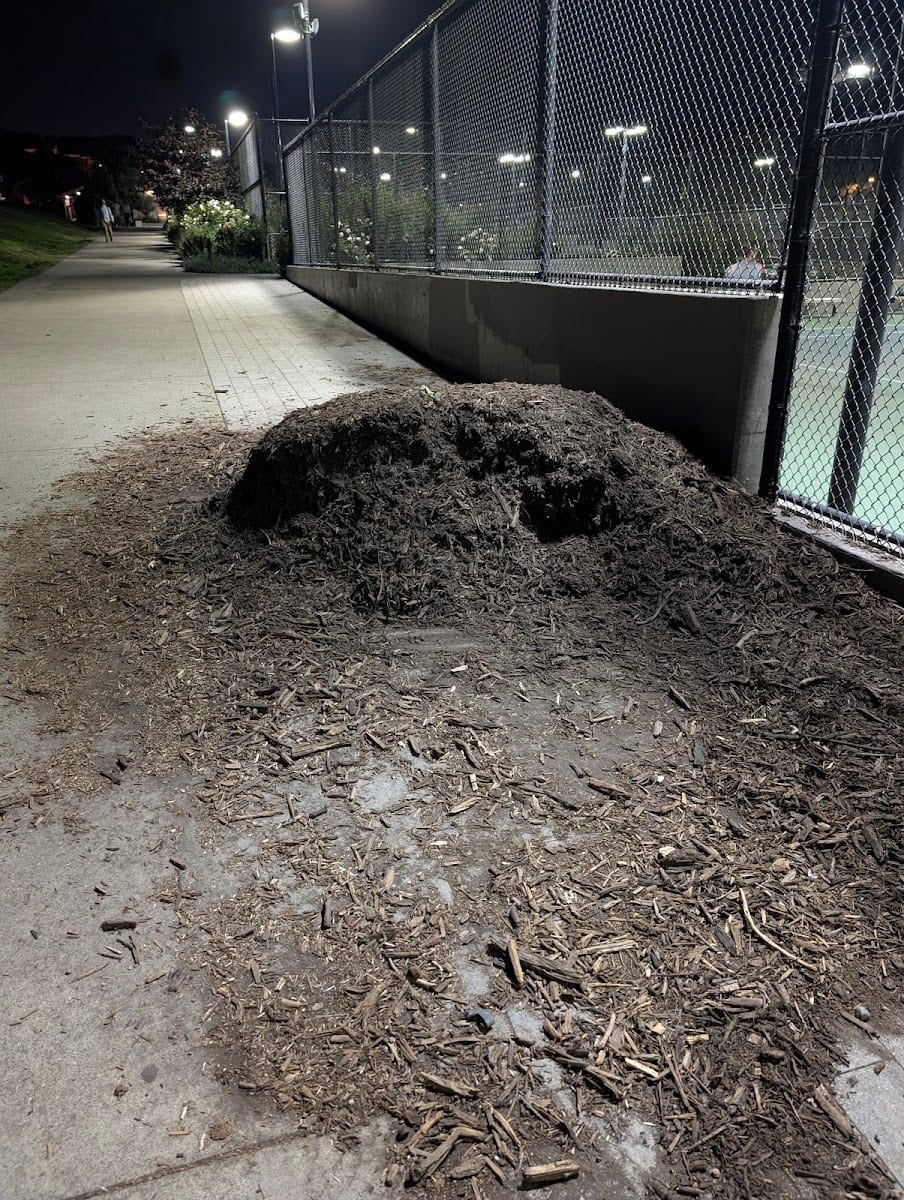 Mission Dolores Dog Play Area North, photo 2
