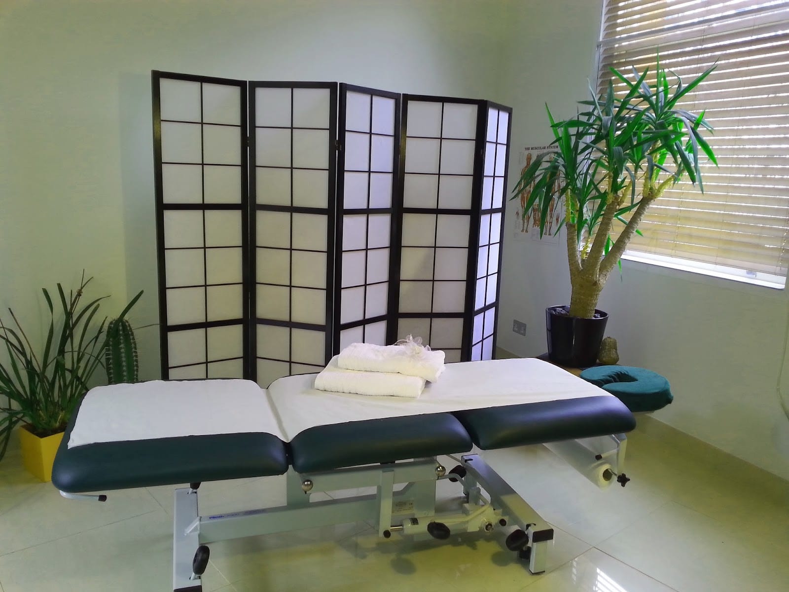 Bodywork Massage, photo 2