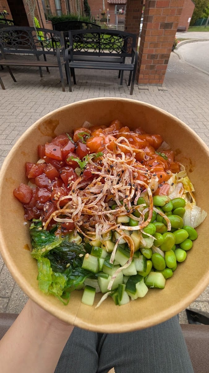 Nozomi Fusion Kitchen, photo 4