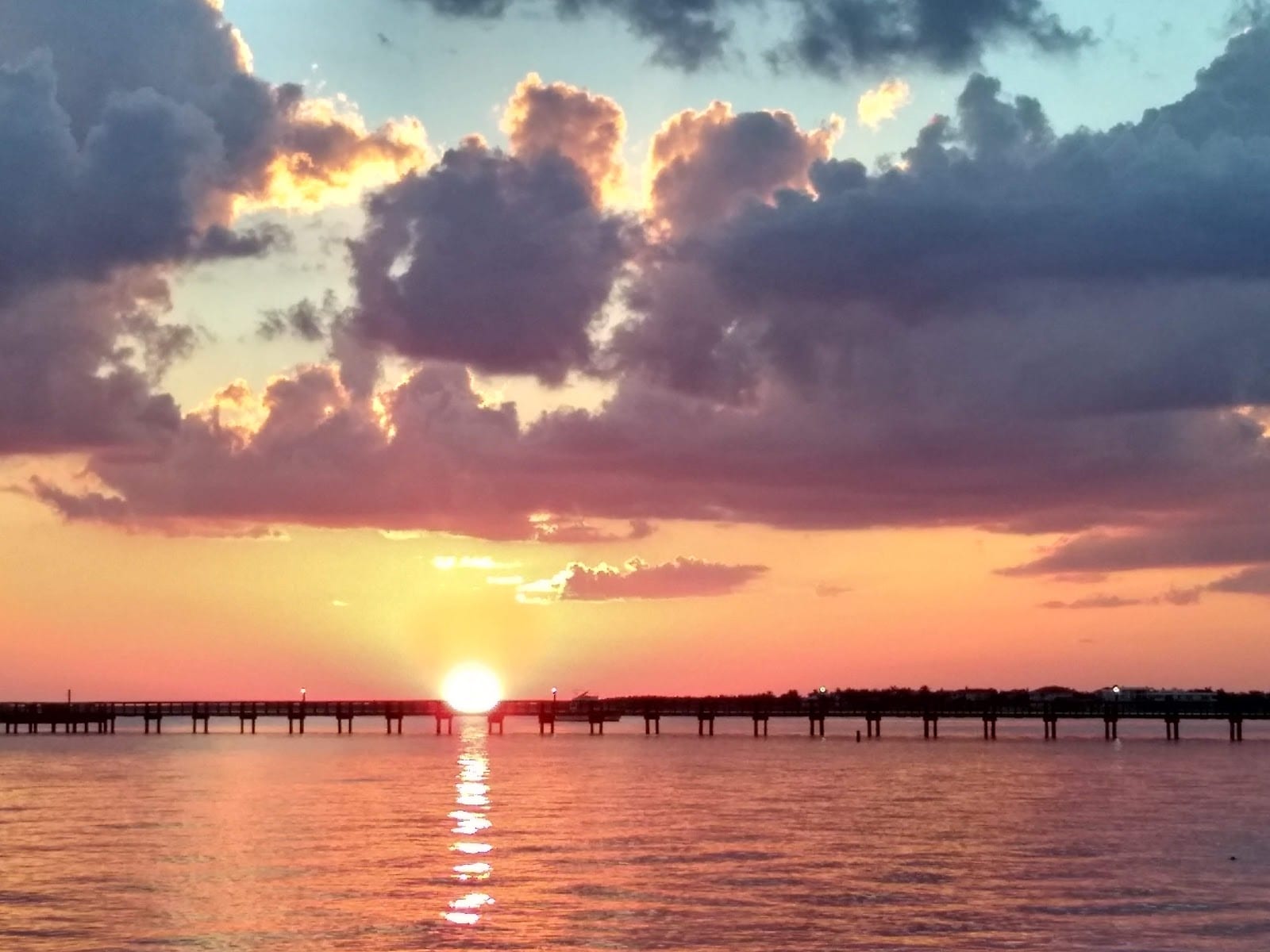 Bayshore Live Oak Park, photo 3