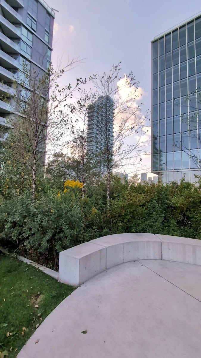 Dog Park, photo 2