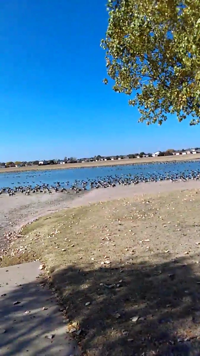Earl Crow Park, photo 2