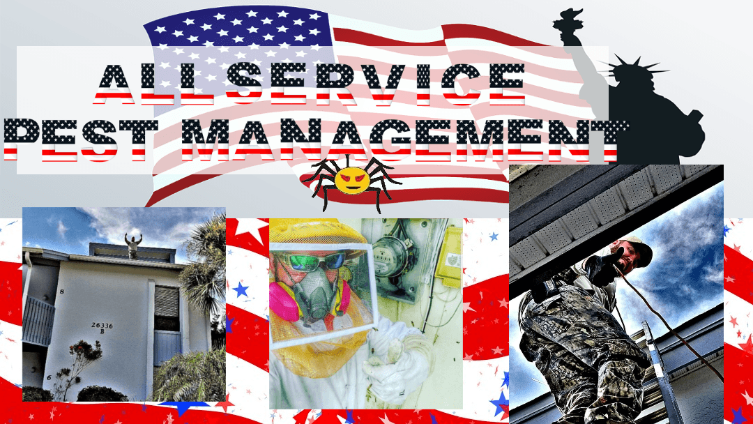 All Service Pest Management, Inc, photo 4