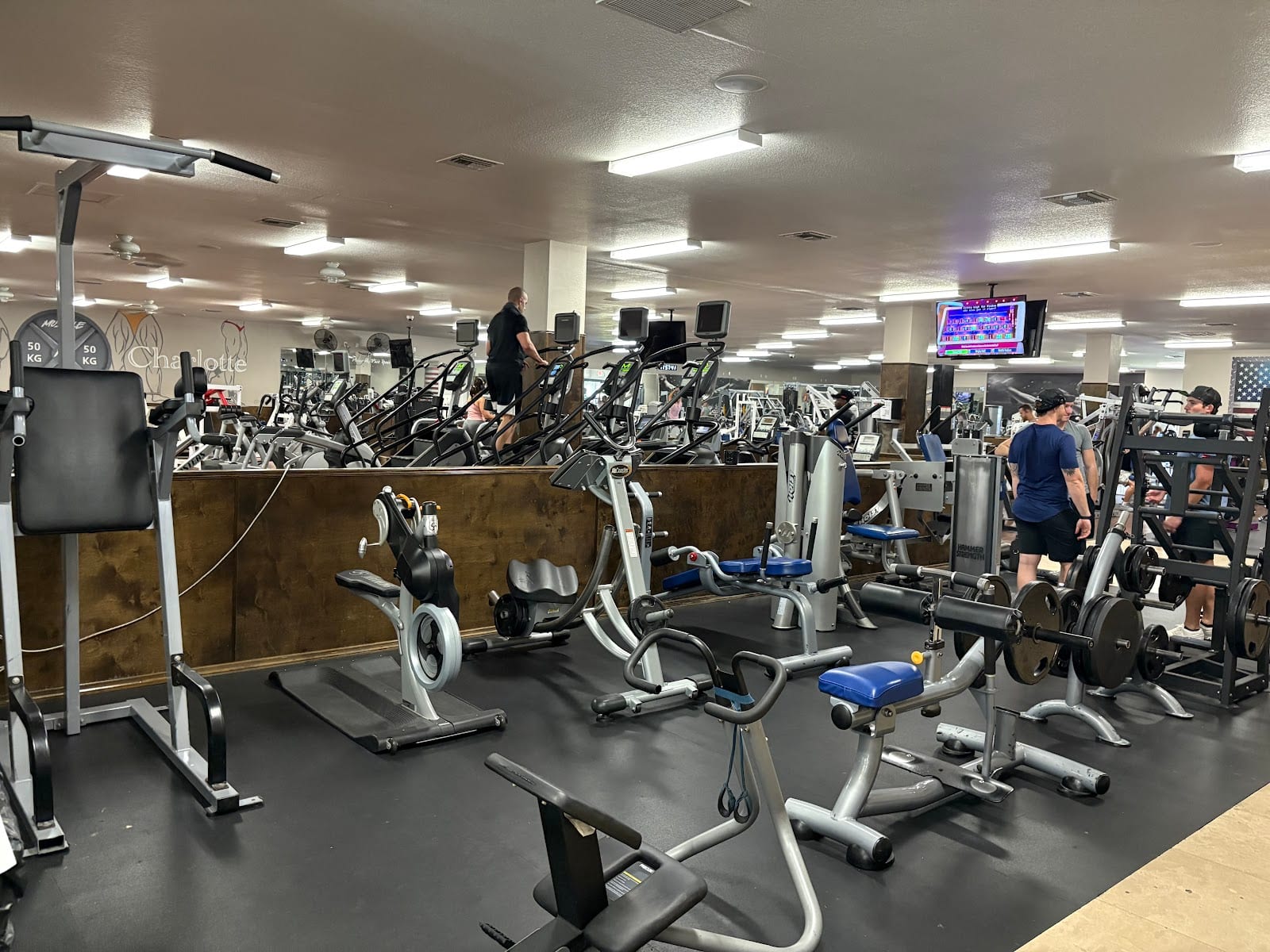 Muscle Asylum Port Charlotte