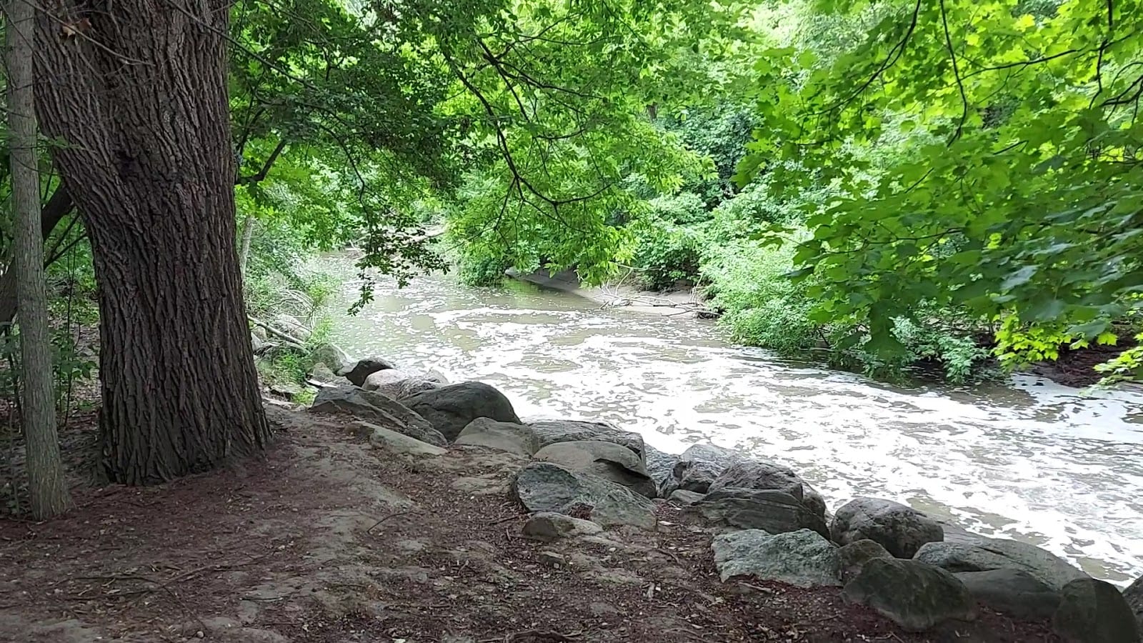 Upper Don Recreation Trail, photo 2