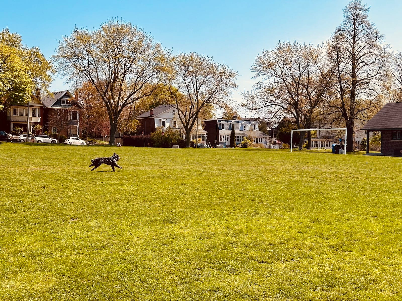 Withrow Park: Dog Park, photo 2