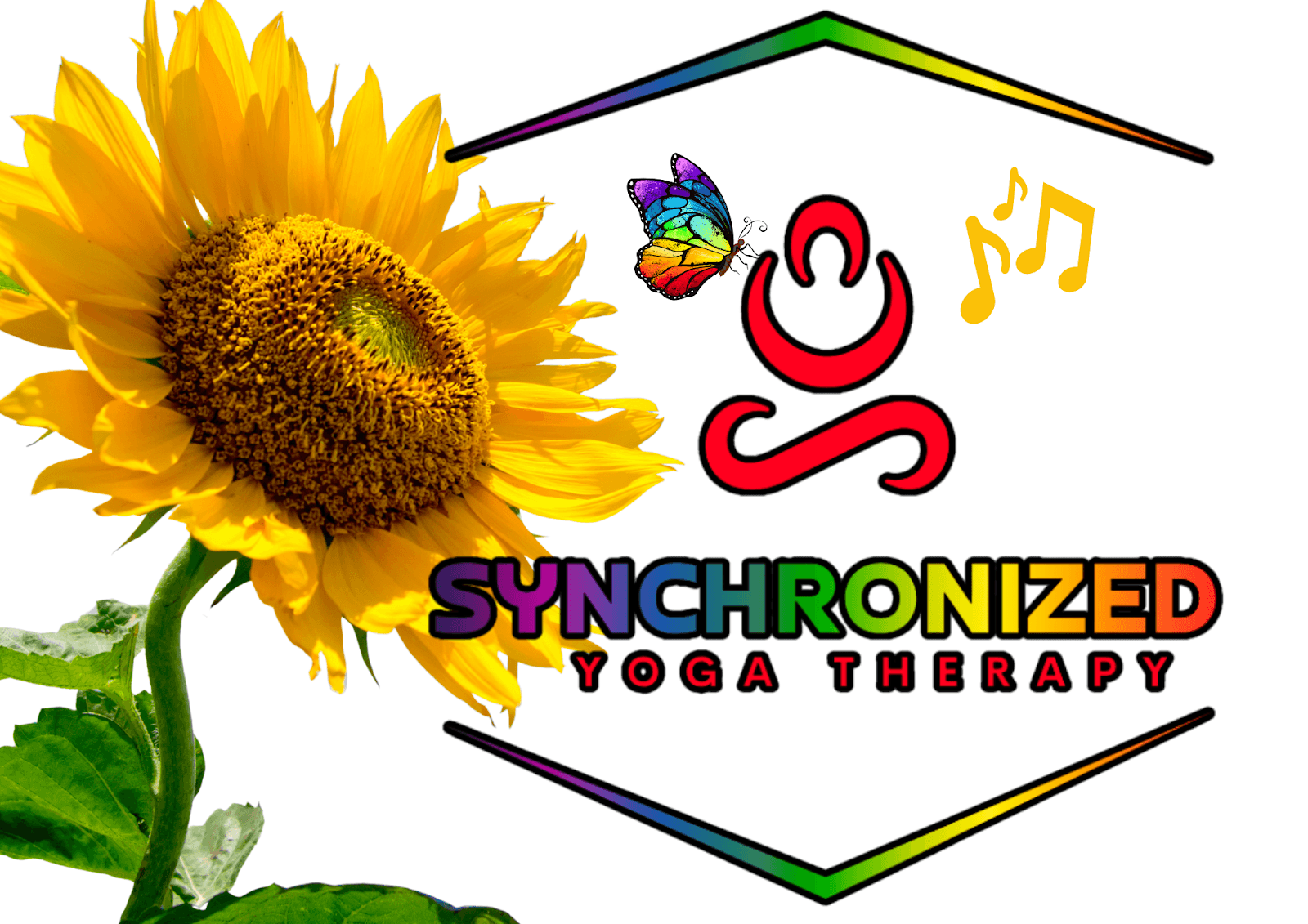 Synchronized Yoga Therapy (Online) Breathe-Connect-Revive, photo 2