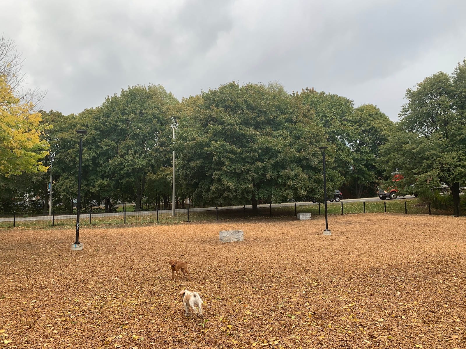 Orphan's Green Off Leash Dog Park, photo 3