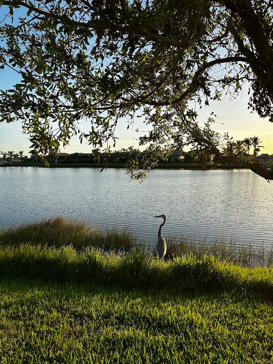 Coast Dermatology & Skin Cancer Center, photo 4