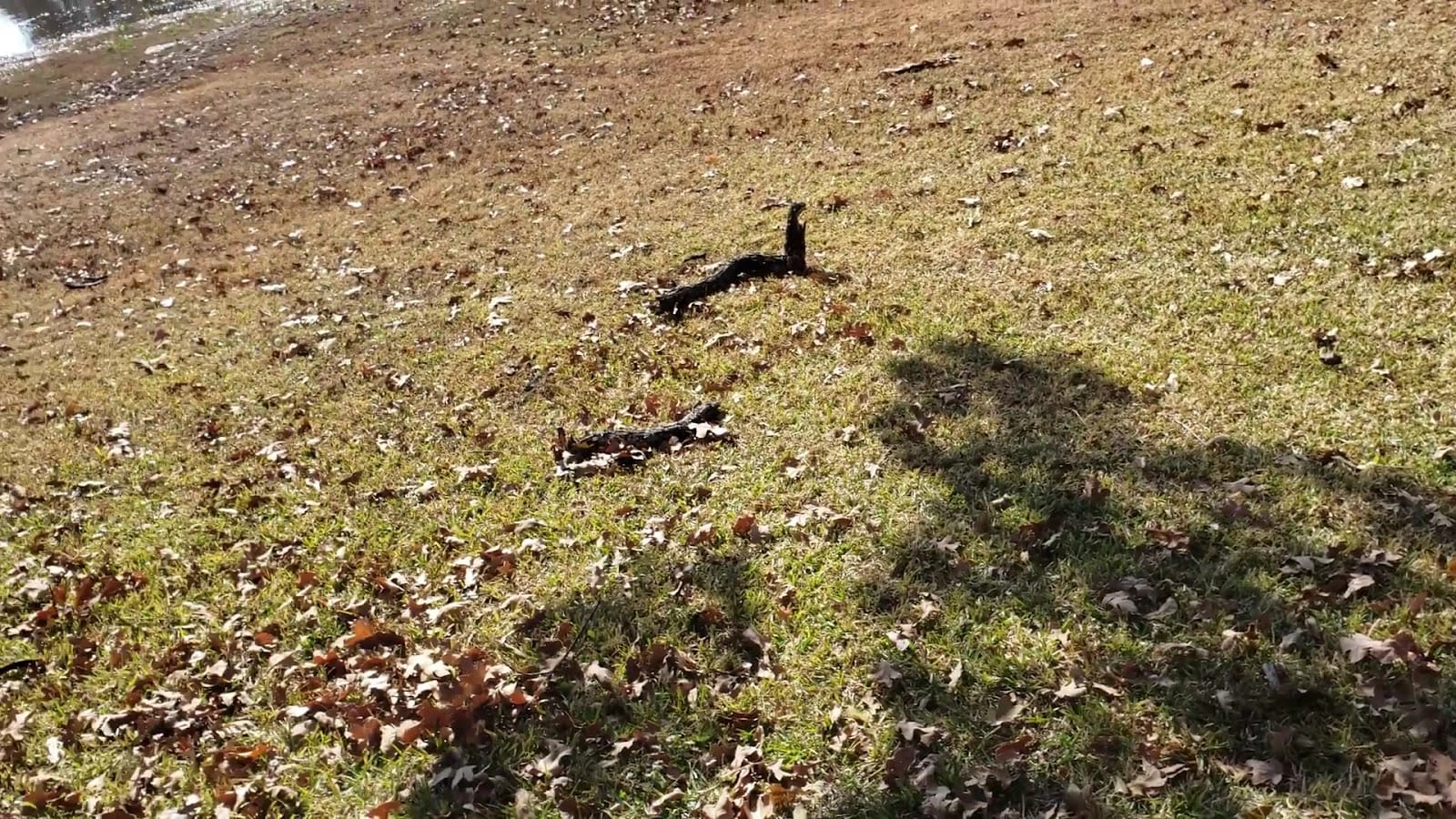 Meadowview Park, photo 2