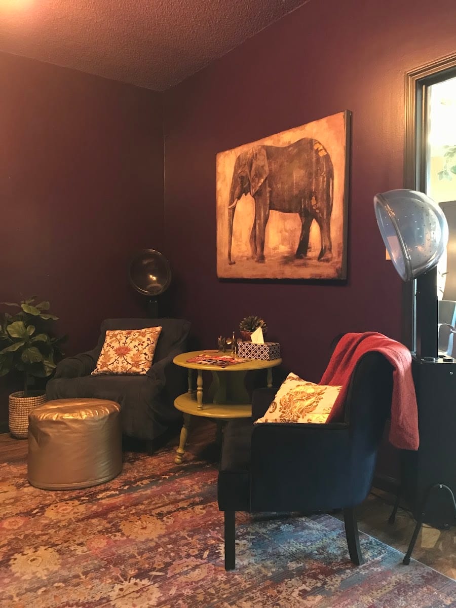 The Shag Salon, photo 3