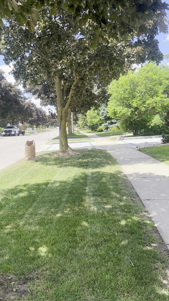 A&E lawn care, photo 3