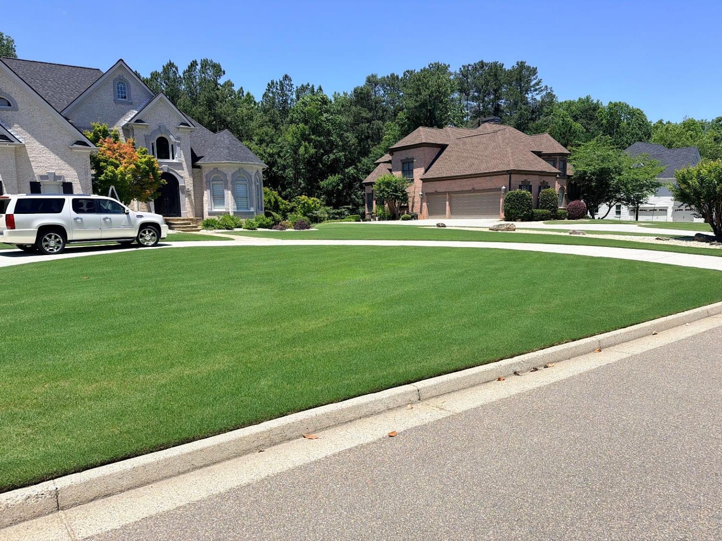 Senske Lawn Care Services - Centennial, photo 2