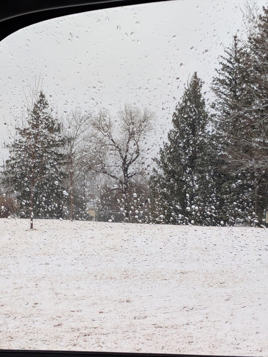 Meadow Park, photo 3