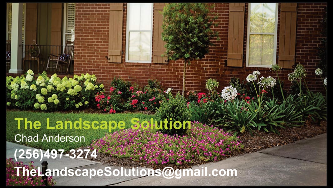 The Landscape Solution, photo 2
