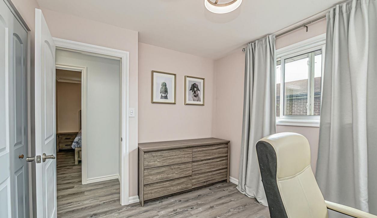 New Look Renos, Painting and Handyman Services