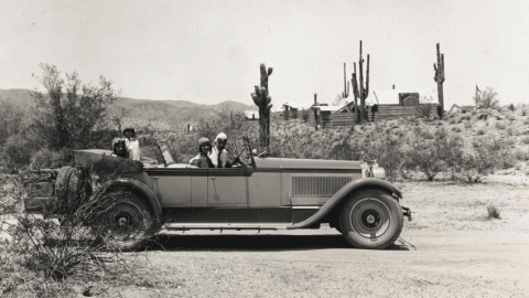 Ocatilla Exhibit Opens Soon in Chandler, Arizona